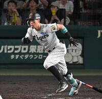 　４回、同点打を放つ佐藤輝（撮影・飯室逸平）