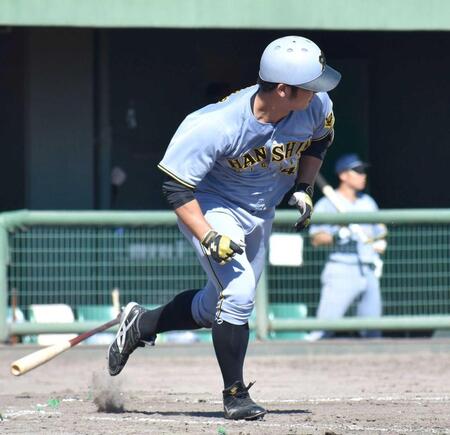 　８回、左前打を放つ井坪