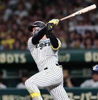 　６回、勝ち越し適時打を放つ森下（撮影・田中太一）