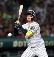 　７回、死球を受ける森下（撮影・北村雅宏）