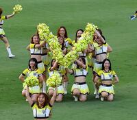 　試合前、パフォーマンスするＴｉｇｅｒｓ　ｇｉｒｌｓ（撮影・山口登）