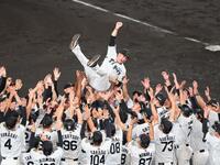 　胴上げされる藤川監督（撮影・金田祐二）