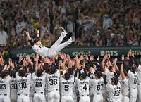 　優勝を決め、宙を舞う藤川監督（撮影・飯室逸平）