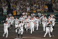 　優勝を決め、歓喜する阪神ナイン（撮影・飯室逸平）