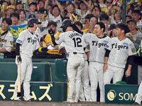 　６回、ベンチ前で中犠飛を放った近本（左）とタッチを交わす生還した三走坂本