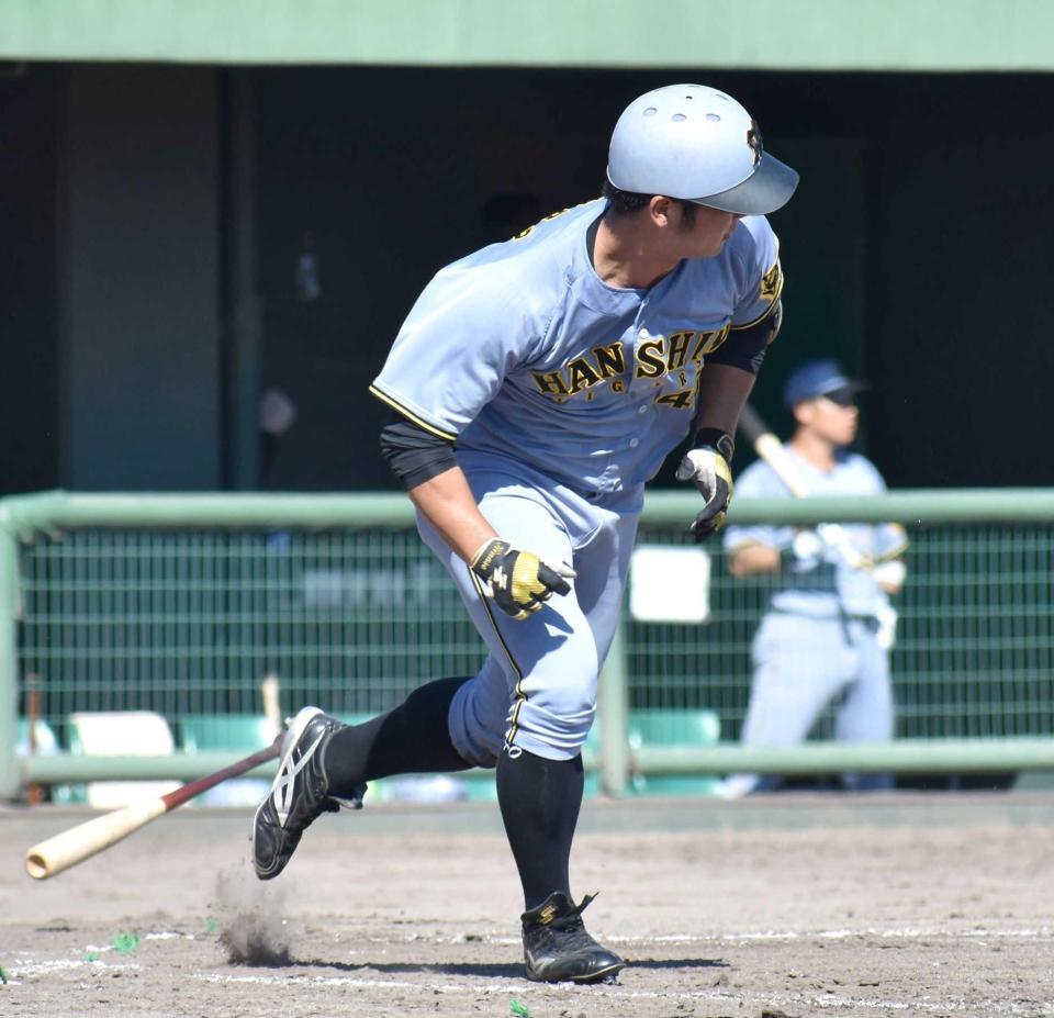 　８回、左前打を放つ井坪