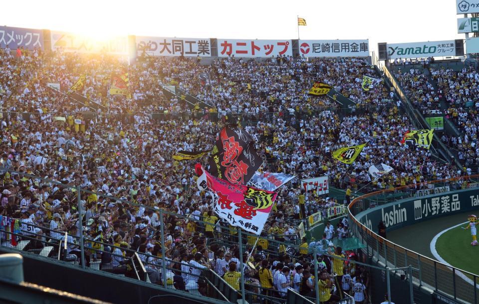 　声援を送る阪神ファン（撮影・山口登）
