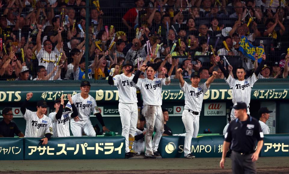 　７回、近本の犠飛で追加点を奪い盛り上がる森下（中央）ら阪神ナイン（撮影・山口登）