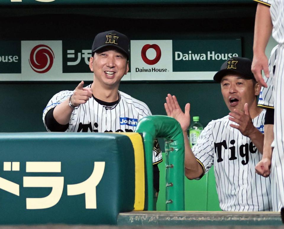 　６回、近本の犠飛で追加点と入れ、ベンチで喜ぶ藤川監督と藤本コーチ（撮影・田中太一）