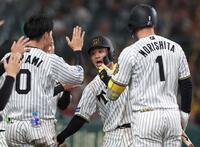 　６回、近本の犠飛で生還し、ナインとタッチを交わす坂本（中央）＝撮影・北村雅宏