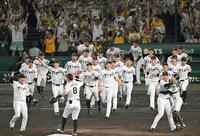 　優勝を決め、歓喜する阪神ナイン（撮影・飯室逸平）