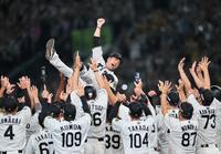 阪神タイガース 1985日本一 デイリースポーツ 阪神タイガース 1985日本一 デイリースポーツ 阪神タイガース