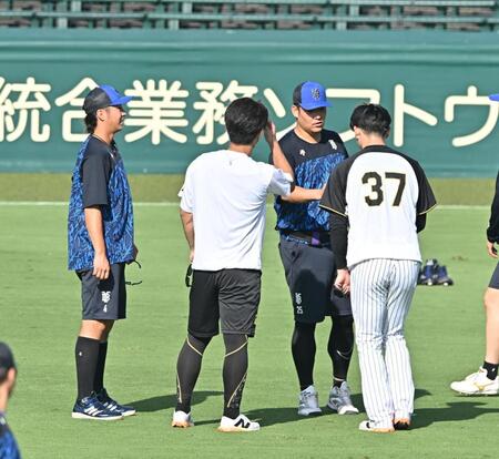 　グラウンドで言葉を交わす（左から）度会、伊藤将、筒香、及川の横浜高ＯＢ（撮影・西田忠信）