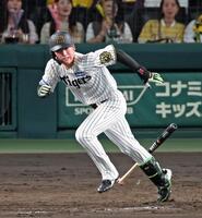 ５回裏阪神２死、左前打を放つ阪神・高寺望夢＝甲子園（撮影・立川洋一郎）