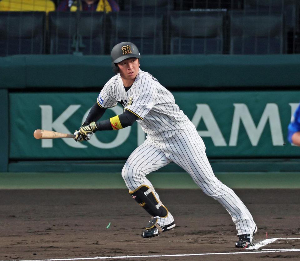 　１回、左前打を放つ近本（撮影・立川洋一郎）