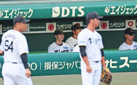 　ベンチでシートノックの様子を見守る中野（中央）＝撮影・立川洋一郎