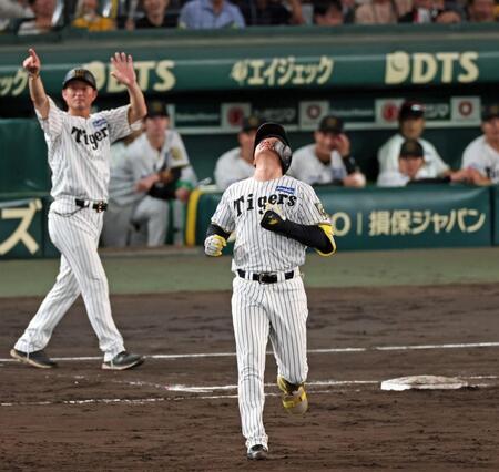 　５回、中飛に倒れ天を仰ぐ森下（撮影・立川洋一郎）