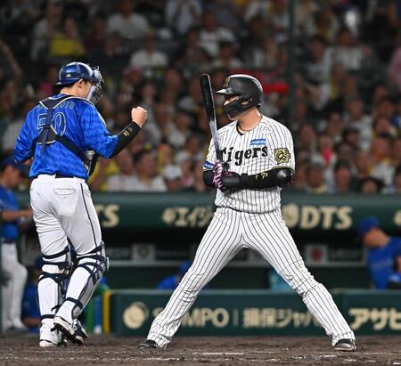 　５回、見逃し三振に倒れる大山（右）＝撮影・西田忠信