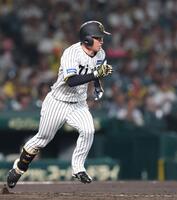 　９回、ゴロを放った近本は激走し、内野安打をもぎ取る（撮影・北村雅宏）