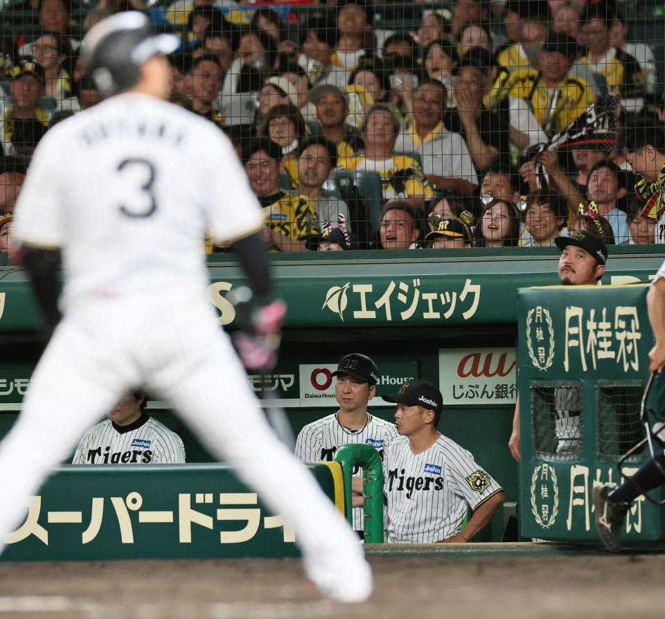 　５回、好機で三振に倒れた大山（手前）を見つめる藤川監督（撮影・田中太一）