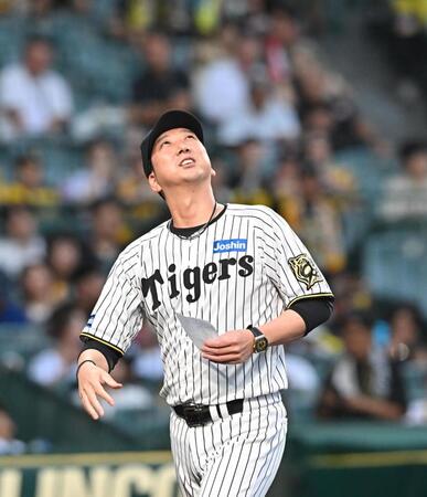 　メンバー表の交換を終え、空模様を見る藤川監督（撮影・西田忠信）