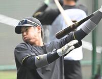 　打撃練習する梅野（撮影・西田忠信）