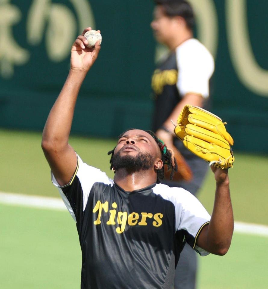 　練習中に空を見上げるドリス（撮影・北村雅宏）