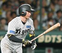 　８回、右前打を放つ近本（撮影・西田忠信）