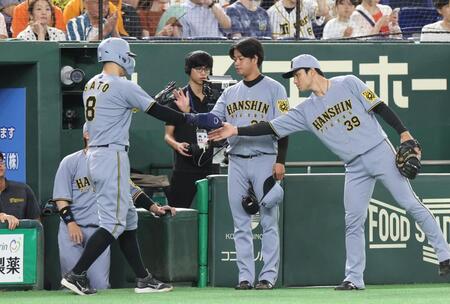 　１回、大山の適時打で生還した三塁走者・佐藤輝を出迎える高橋（撮影・佐々木彰尚）