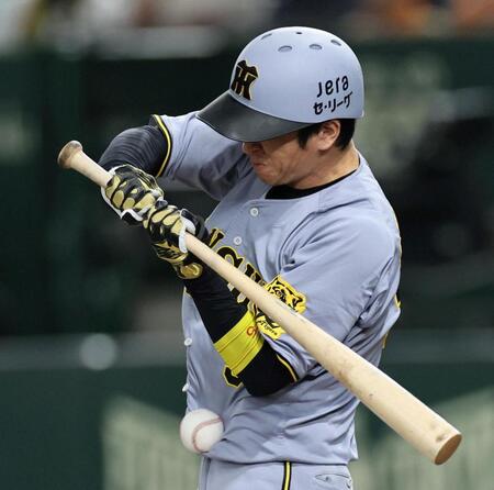 　４回、死球を受ける近本（撮影・田中太一）