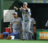 　１回、佐藤輝の適時二塁打が本塁打でないかとビデオ判定を要求する藤川監督（撮影・金田祐二）