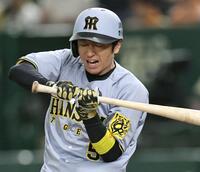 　４回、死球を受ける近本（撮影・田中太一）