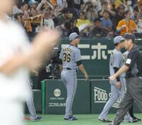 　移籍後初の巨人戦で好投した畠（撮影・佐々木彰尚）