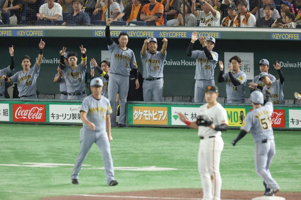 　５回、中野の勝ち越し３点三塁打で盛り上がる阪神ベンチ（撮影・金田祐二）