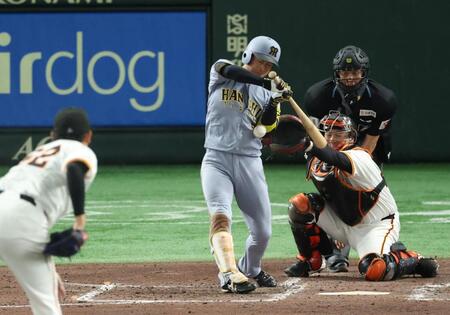 　４回、死球を受ける近本（撮影・金田祐二）