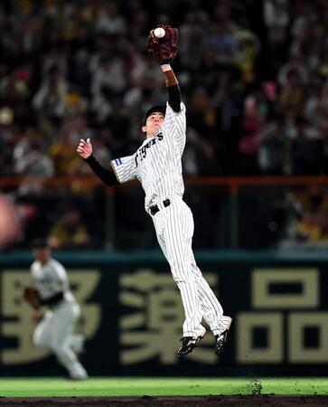 　５回、石伊の打球を好捕する中野（撮影・田中太一）