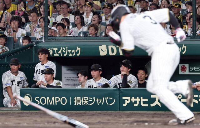 阪神 才木7回1失点124球の熱投も敗戦 近本不在の打線が大野に