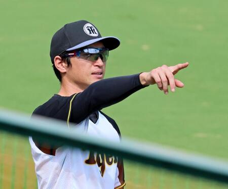 　練習で汗を流す近本（撮影・立川洋一郎）