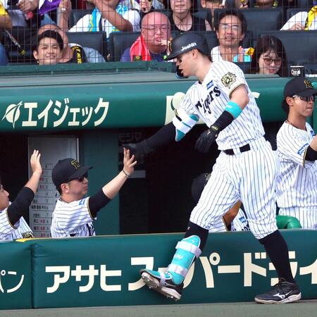 　５回、藤川監督は２ランを放った佐藤輝を迎える（撮影・山口登）