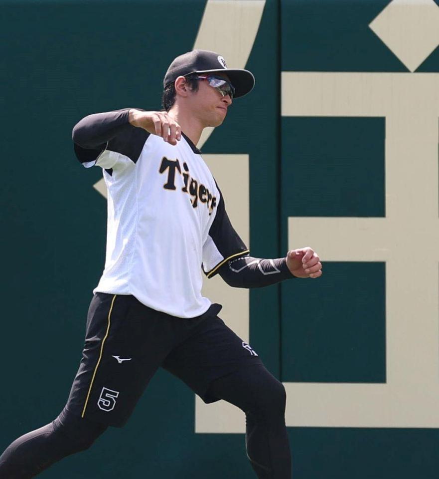 　体をほぐす近本（撮影・北村雅宏）