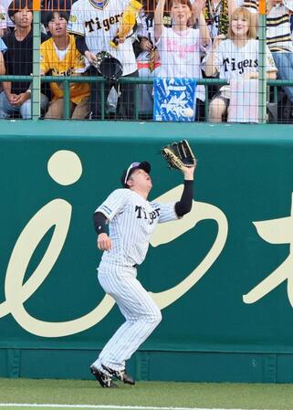 　９回、ボスラーの打球をフェンス際で好捕する左翼手・楠本（撮影・立川洋一郎）