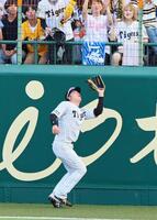 　９回、ボスラーの打球をフェンス際で好捕する左翼手・楠本（撮影・立川洋一郎）