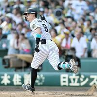 　５回、左翼ポール際に３８号２ランを放つ佐藤輝（撮影・田中太一）