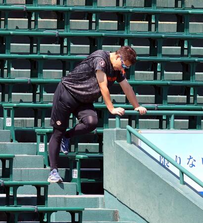 　観客席でトレーニングする岩崎（撮影・山口登）