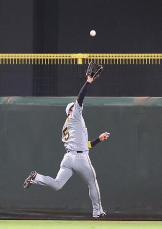 　３回、佐々木の打球を好捕する近本（撮影・市尻達拡）