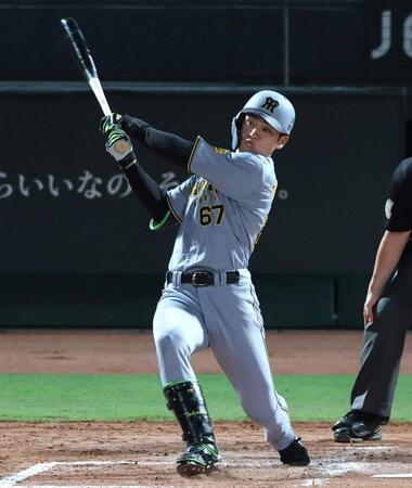 　８回、右前打を放つ高寺（撮影・北村雅宏）