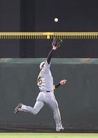 　３回、佐々木の打球を好捕する近本（撮影・市尻達拡）