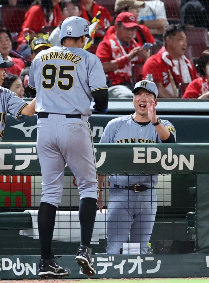 　６回、左越えソロを放ったヘルナンデスを出迎える藤川監督（撮影・市尻達拡）