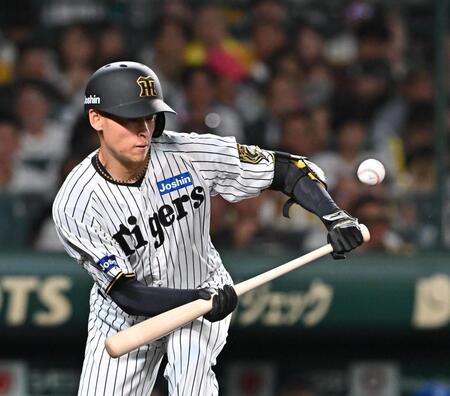 　３回、犠打を決める早川（撮影・西田忠信）