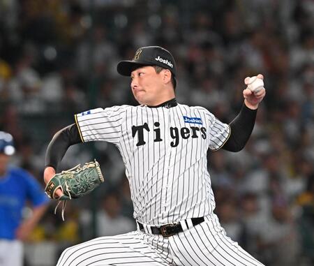 　９回に登板した岩崎（撮影・西田忠信）